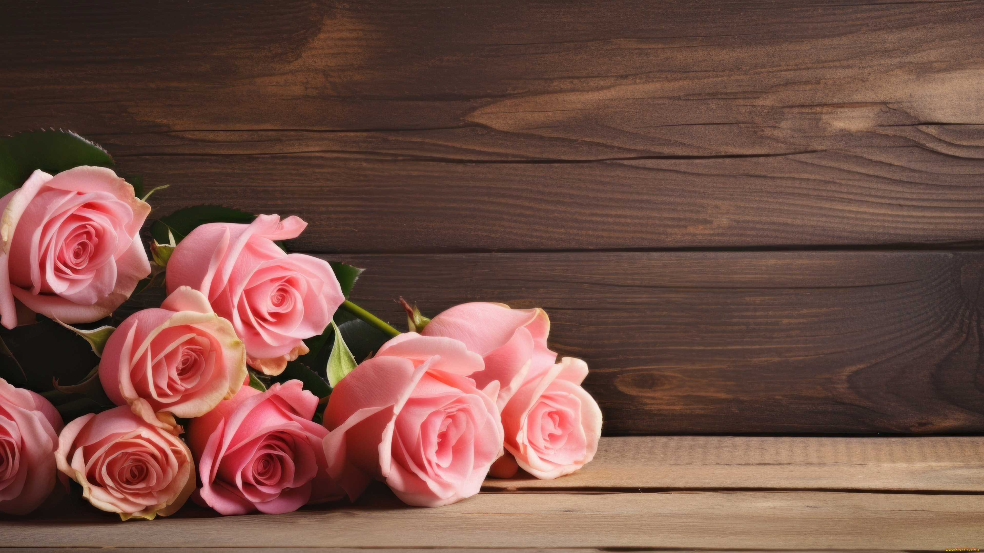 3 ,  , flowers, , , , , -, 